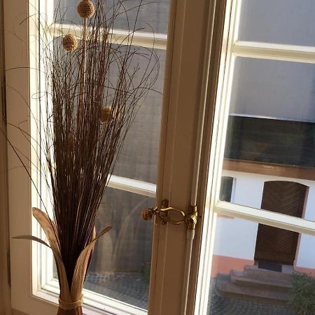Ferienwohnungen Im Osteiner Hof Mainz Eksteriør bilde